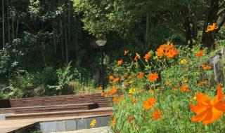 宜春学院图书馆 宜春学院图书馆